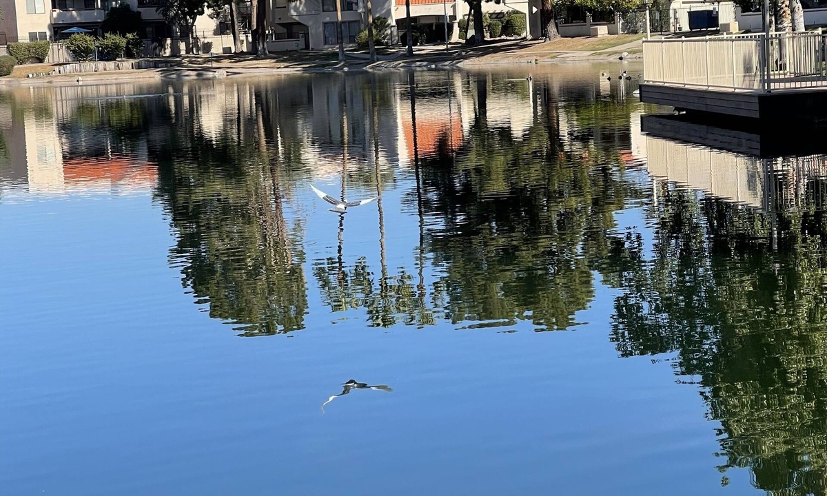 Lake Biltmore Village Condo | ❤️LAKE-STYLE Bliss❤️ Serene condo with lake views, and modern amenities.