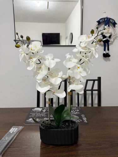 Tulancingo Apartment | Las Flores en Quinta La Chata