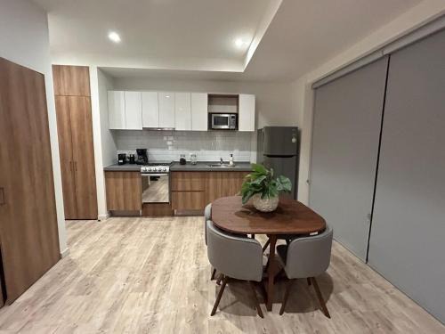 Providencia Apartment | Loft in Providencia near US Consulate
