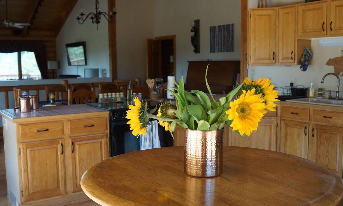 Durango House | Log Cabin with a Mountain View. Secluded property with easy access to amenities