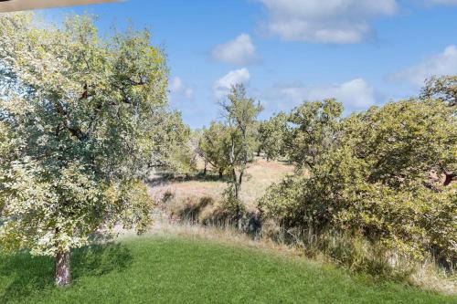 Horseshoe Bay West House | Luxury Hill Country Home in Horseshoe Bay Near Lake LBJ & Golfing with Game Room