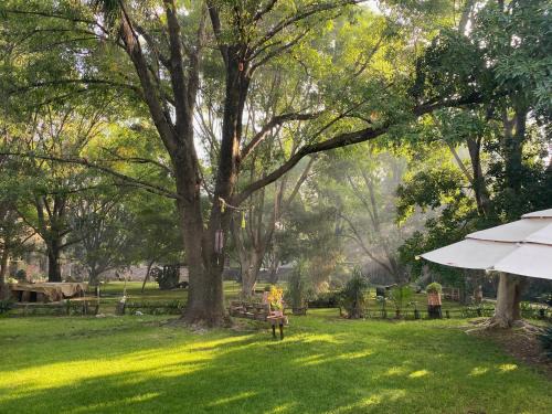 Leon Hotel | Magnolias Jardin & Boutique Suites