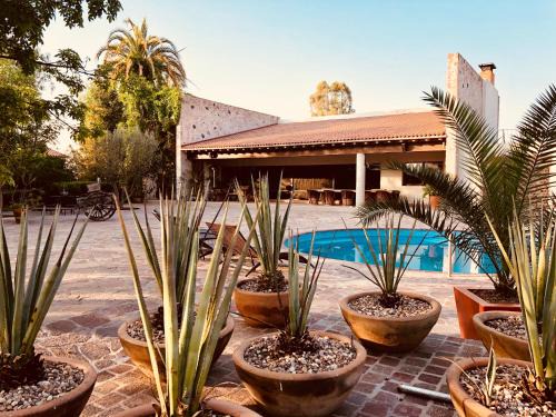 Queretaro Bed & Breakfast | María & Bernardo Casa - Viñedo