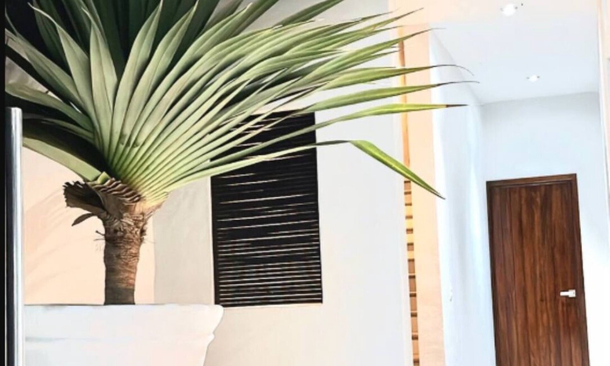 San Patricio Melaque Apartment | Modern apartment-2