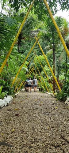 Alta Verapaz Hotel | Nawal