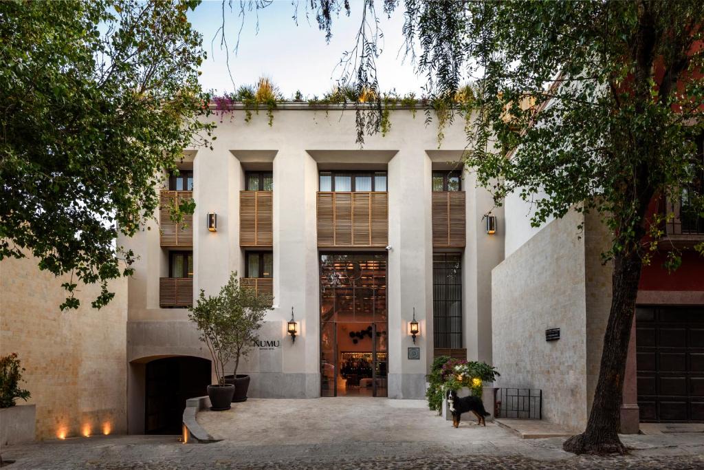 Zona Centro Hotel | NUMU Boutique Hotel, The Unbound Collection by Hyatt