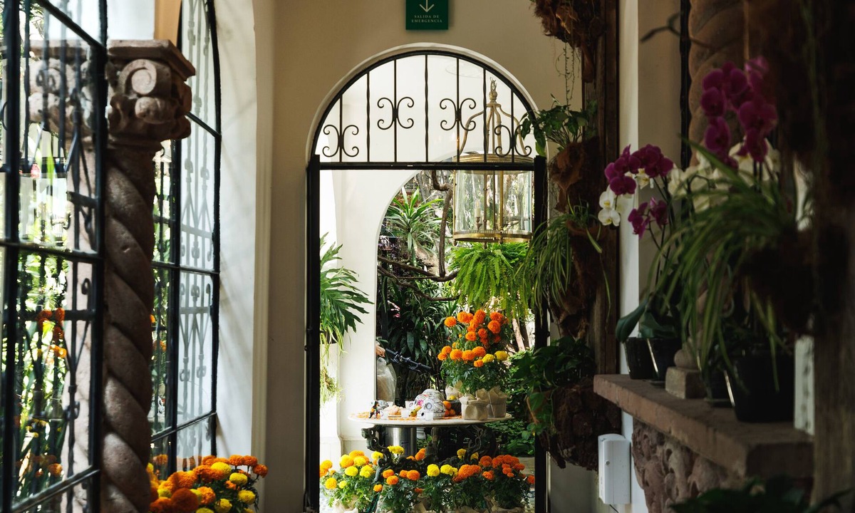 Polanco Hotel | Orchid House Mexico City