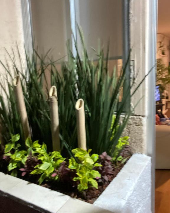 Paseos de Taxquena House | Organic house