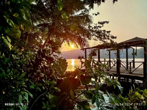 Puerto Barrios Hostel | Palmeras del Río HOTEL