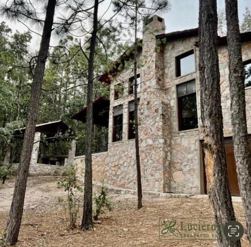 Durango House | Providencia PREMIUM Cabañas del Lago - Luciérnaga