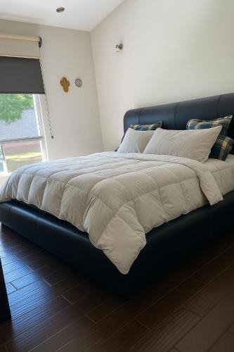 Atlixco House | Residencia Bufer en San Diego Acapulco