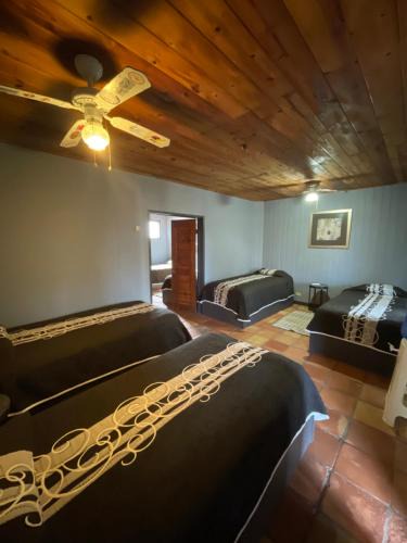 San Quintin Hotel | Rm Dorm