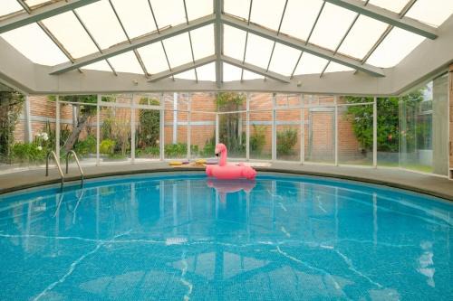 Benito Juarez House | Senda Stays Oasis Pool House - 4BR, Next to Roma Sur