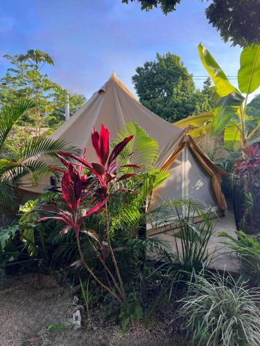 Bacalar Hotel | Shamalay - Nomad Experience
