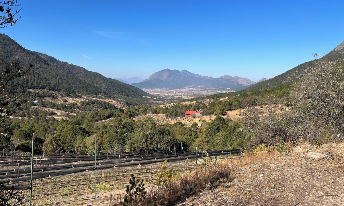 Arteaga House | Stay in an RV inside a Vineyard. Unique experience
