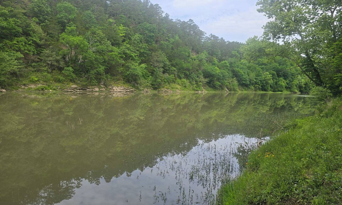 Golden Cabin | Tranquility at VINE on Glover River, surrounded by nature & peace! FREE kayaks!