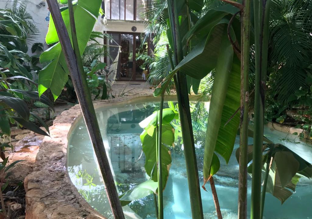 Merida House | Tropical Cenote Loft North City 420