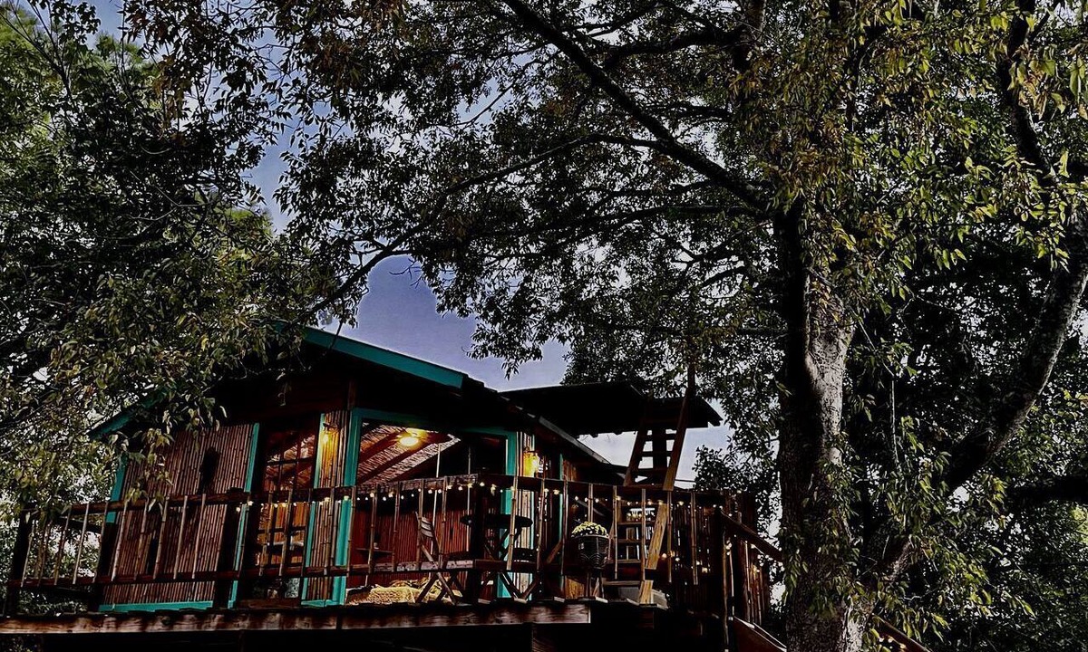 Willis Cabin | Unique Bamboo Tree House for an Unforgettable Couples Getaway by Lake Conroe, Texas
