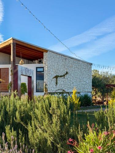 Valle de Guadalupe Hotel | Valle Soléa