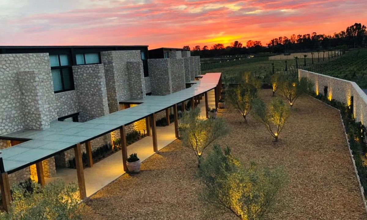 San Miguel de Allende Hotel | Viñedos San Francisco