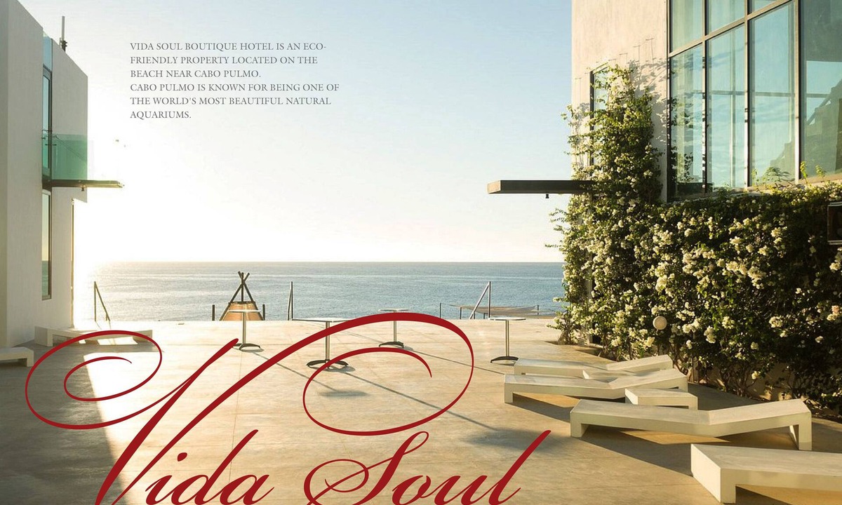 Los Cabos Hotel | VidaSoul Hotel - Beachfront Baja - Escape Groups & Retreats