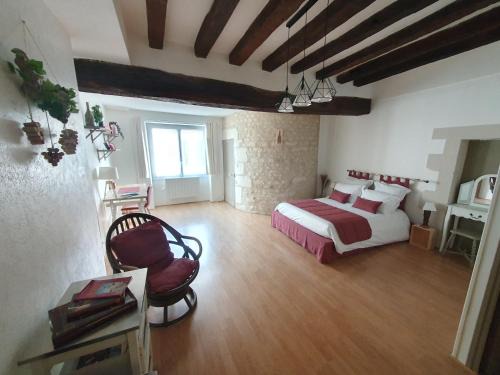 Cravant House | Vitis Vinifera