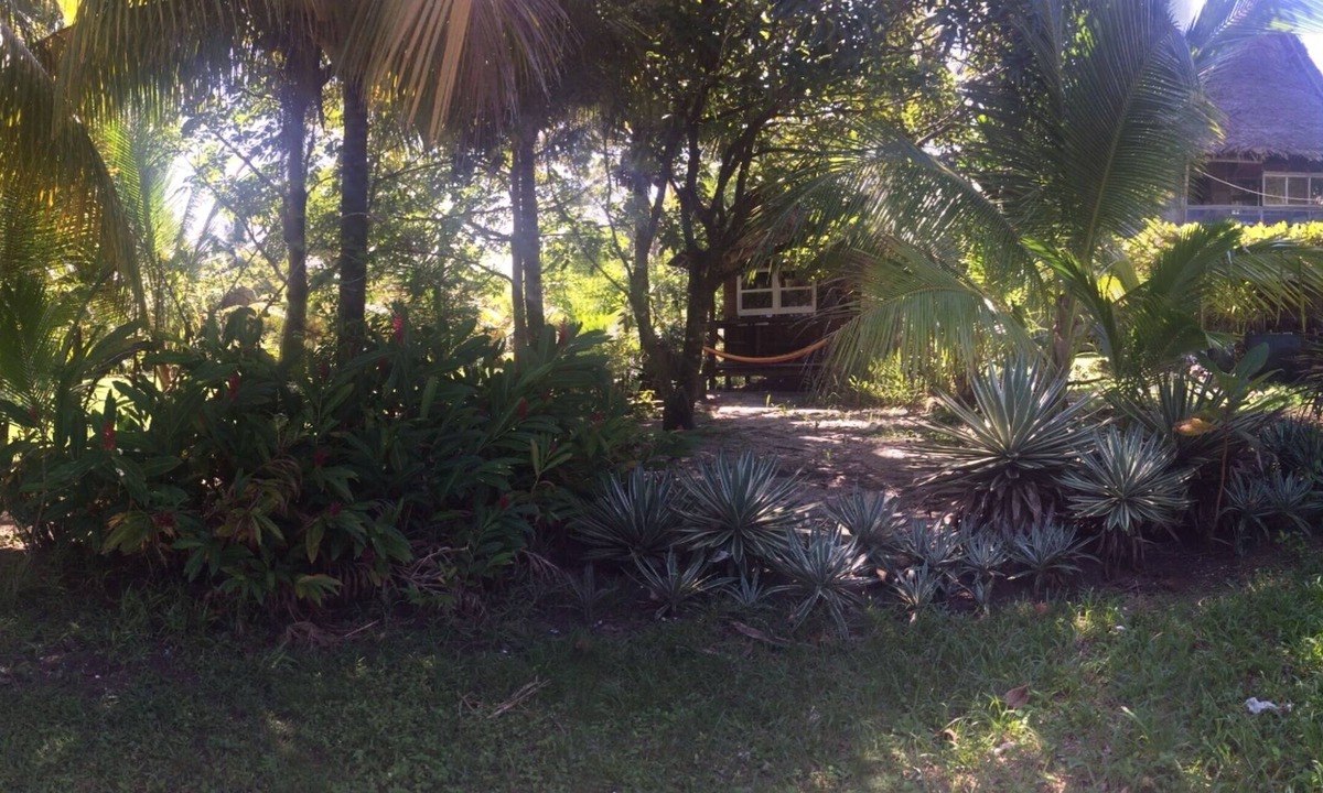 Puerto Barrios House | Wooden cabin in front of beach , bedroom for 2 , private bathroom , barbecue .