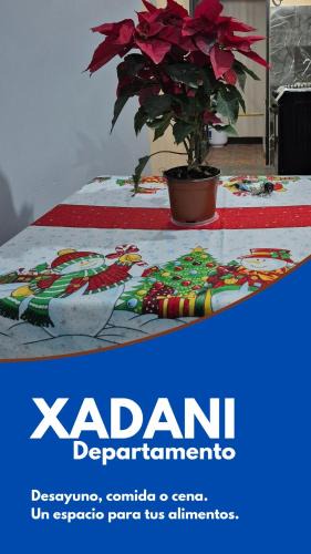 Oaxaca Apartment | Xadani departamento