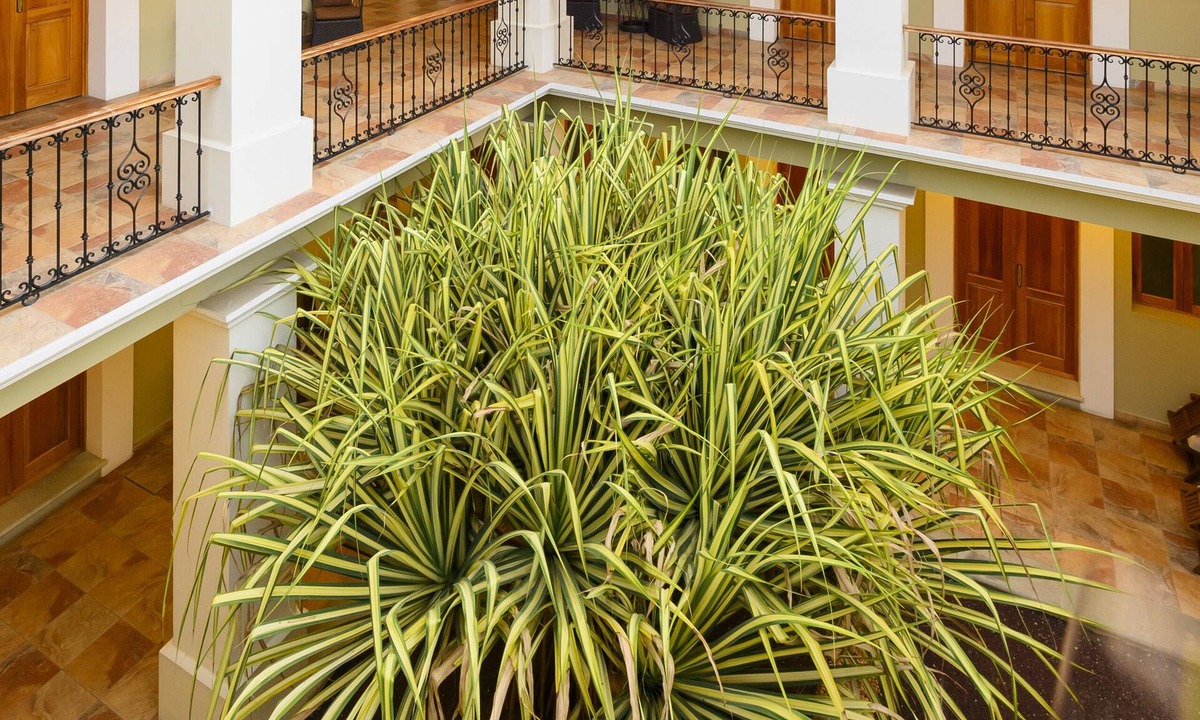Centro Hotel | XTILU Hotel - Adults only