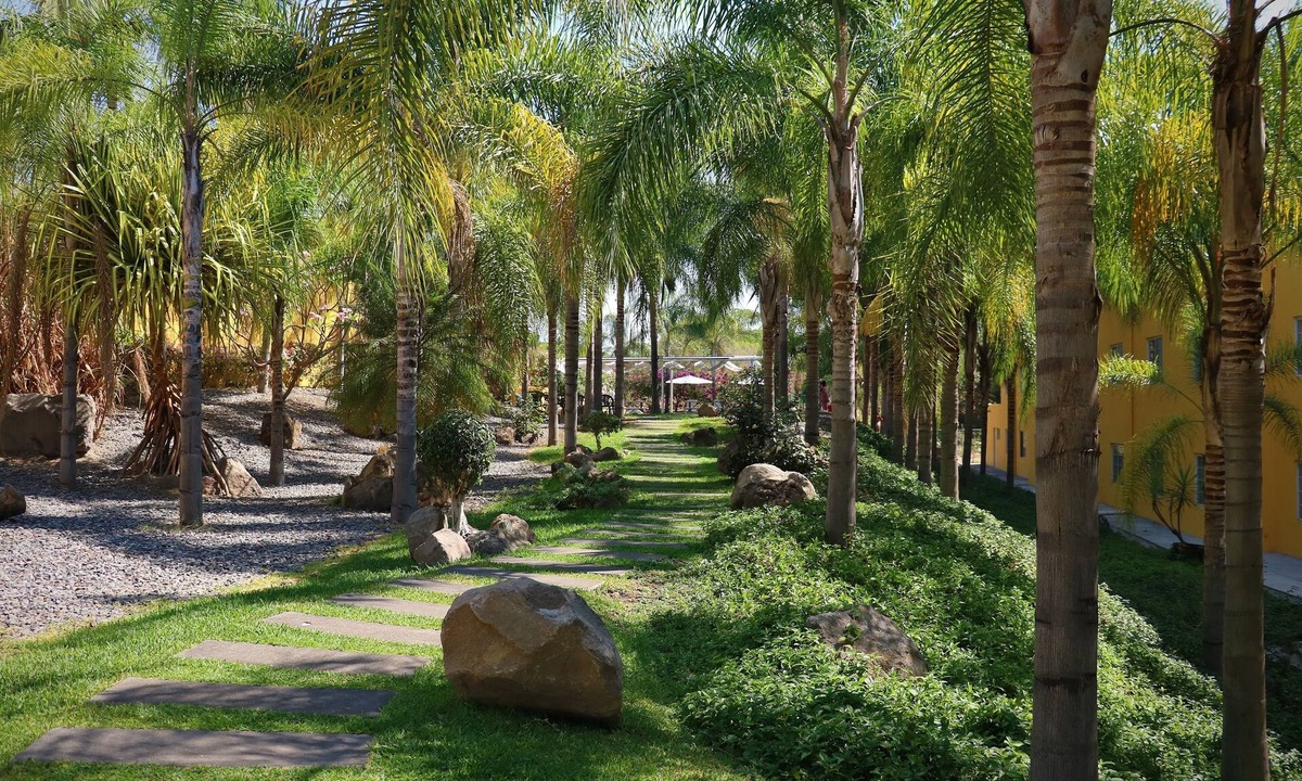 Colima Hotel | Zar Colima