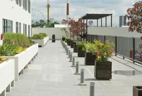 Zapopan Apartment | Zona Real