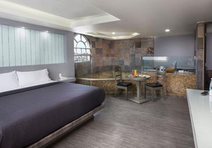 Hotel MX congreso