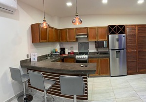 PALMAS DE CHAHUE 4 (474 SF)