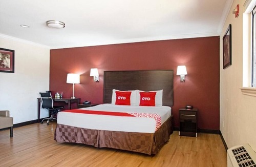 McAllen Hotel | 1 Unit | Poolside Retreat Pet-Friendly with Free Parking