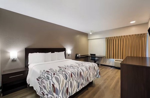 Cortaro Hotel | 2 Scenic Budget Rooms Near Tucson Local Wildlife Spots