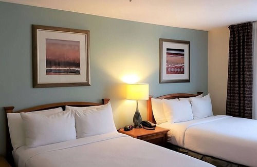 Vance Jackson Hotel | 3 Spacious Suites with Full Kitchens | Pet-Friendly | Free Breakfast