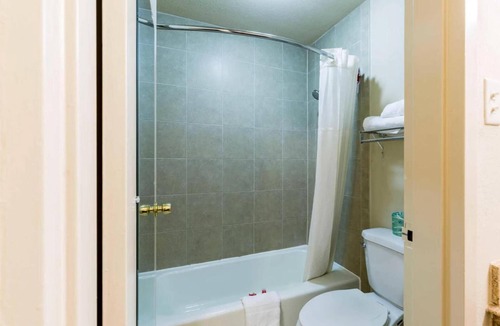 North Shore Hotel | 4 Budget-Friendly Rooms Perfect for a Relaxing Stay Near Houston Local Landmarks