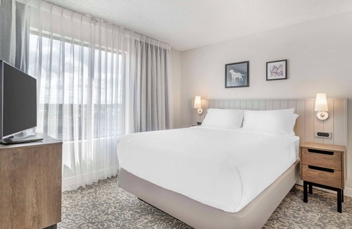 Downtown San Antonio Hotel | A Perfect Home Base for Exploring Alamo City Attractions! Free Buffet Breakfast