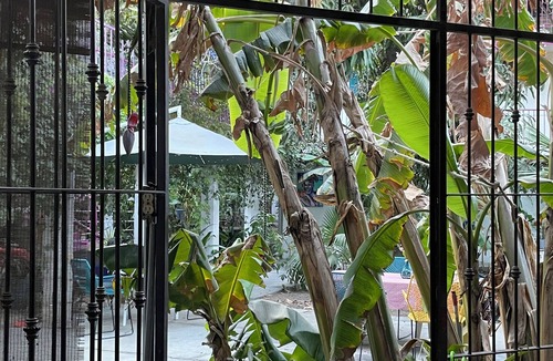 San Jose del Cabo Bed & Breakfast | A Wanderers Place in old San Jose