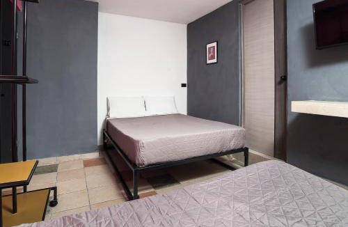 Monterrey Centro Hotel | Adhoc Cintermex