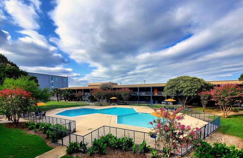 St. Johns Apartment | All Inclusive Studio that can sleep up to 4 people! Pool, Gym & Laundry onsite.