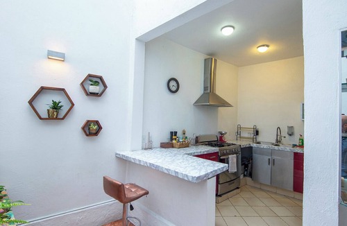 La Concepcion Apartment | Alojamientos Mi Querido Coyoacán