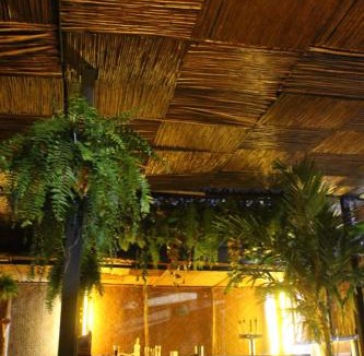 Ixtacalco Bed & Breakfast | Aquí Comes Rico Airport Hostel Share Room