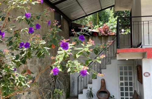 Huauchinango Apartment | Arca de Noé