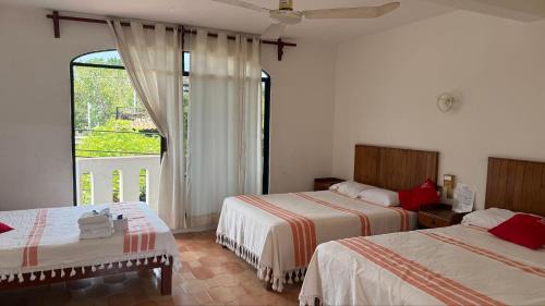 Puerto Escondido Hotel | Arena Surf Hotel, Puerto Escondido