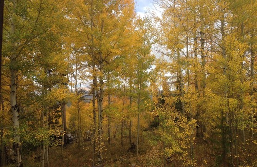 Wildernest House | Aspen Grove Retreat, Duplex Bordering the National Forest near Silverthorne