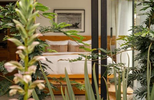 Tzununa Hotel | Aviva Hotel