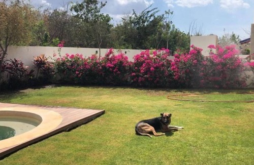 Merida Bed & Breakfast | B&B, Pool/Jacuzzi, nearby beaches, Cenotes, Pyramids & others