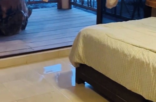 Boulevard Barra Vieja Hotel | Bambao Boutique