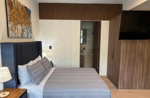 Roma Sur Hotel | BC102 Roma Loft with Balcony, Fast WiFi & Terrace